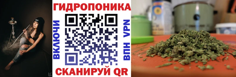 где продают наркотики  Приозерск  Бошки марихуана семена 